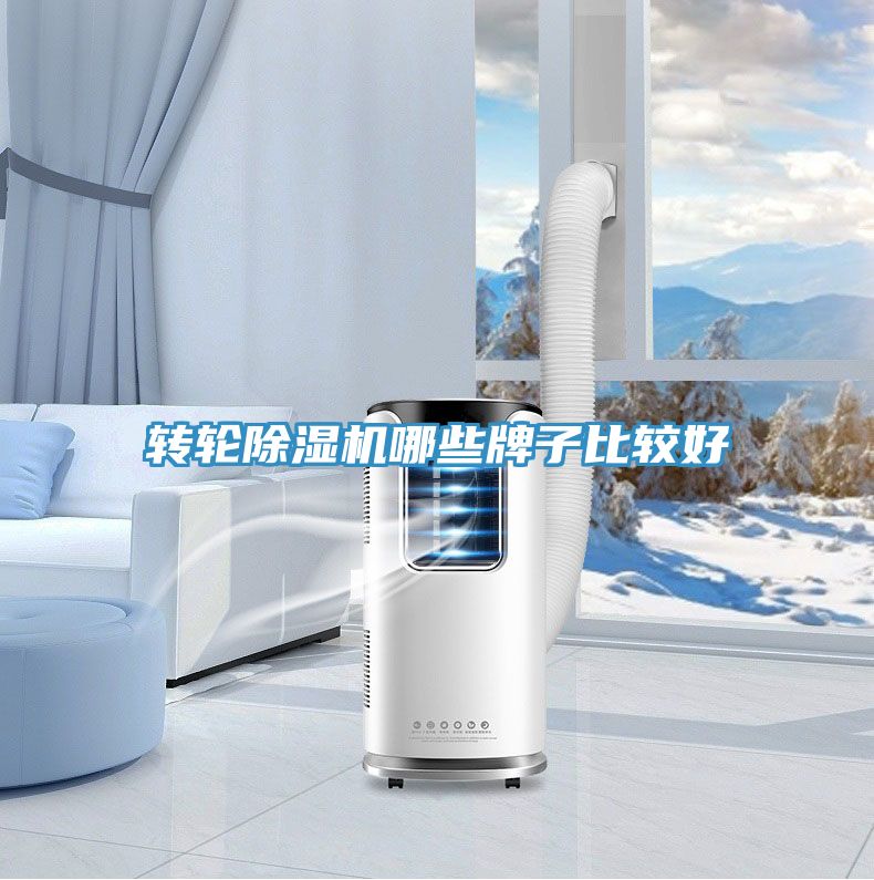 亚洲人成综合第一网站 转轮除湿机哪些牌子比较好