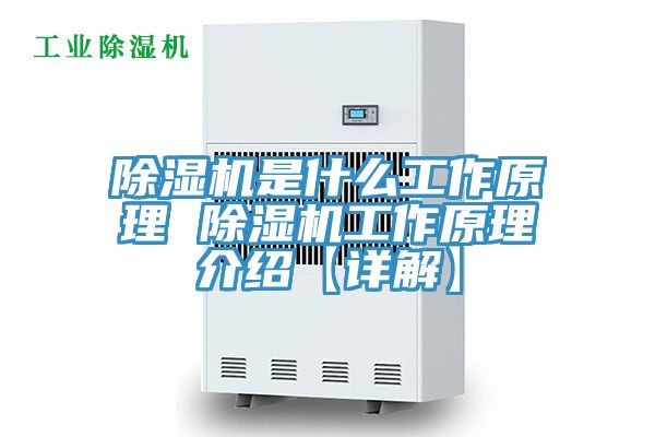 亚洲乱码一区二区三区 除湿机是什么工作原理 除湿机工作原理介绍【详解】