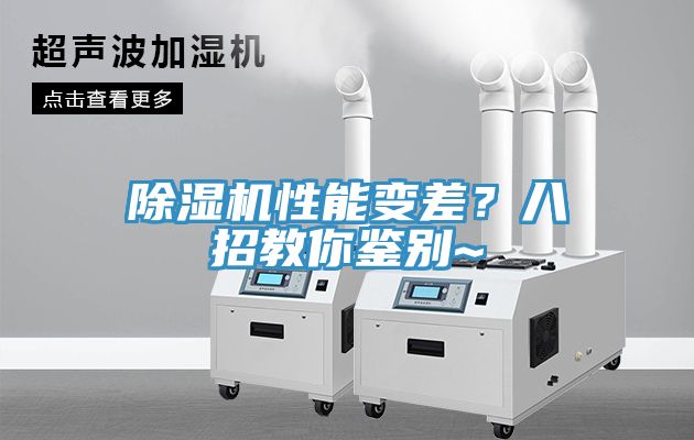 亚洲欧美一级特黄大片 除湿机性能变差？八招教你鉴别~