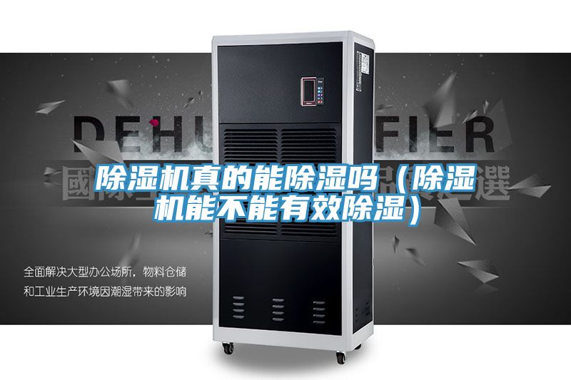 亚洲欧美一级特黄大片 除湿机真的能除湿吗（除湿机能不能有效除湿）