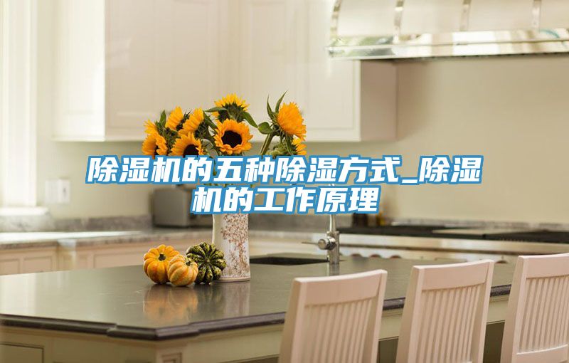 亚洲欧美一级特黄大片 除湿机的五种除湿方式_除湿机的工作原理