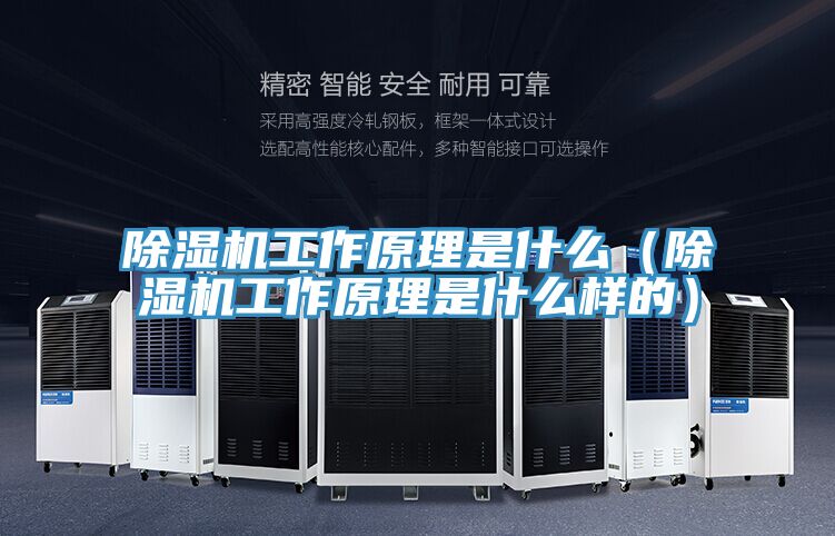 亚洲欧美一级特黄大片 除湿机工作原理是什么（除湿机工作原理是什么样的）