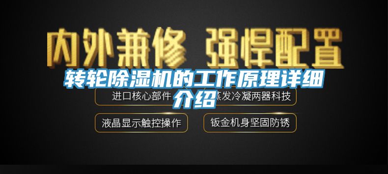 亚洲人成综合第一网站 转轮除湿机的工作原理详细介绍