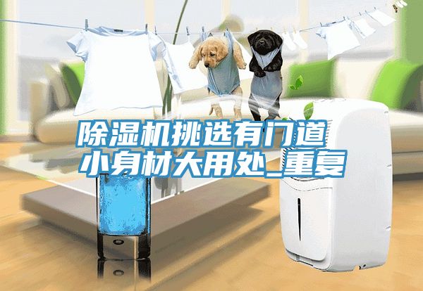 亚洲乱码一区二区三区 除湿机挑选有门道 小身材大用处_重复