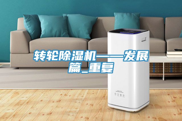 亚洲欧美一级特黄大片 转轮除湿机——发展篇_重复
