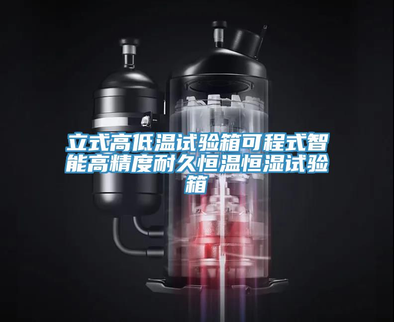 亚洲乱码一区二区三区 立式高低温试验箱可程式智能高精度耐久恒温恒湿试验箱