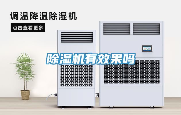 亚洲欧美一级特黄大片 除湿机有效果吗