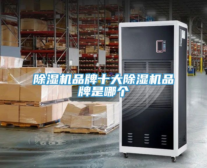 亚洲欧美一级特黄大片 除湿机品牌十大除湿机品牌是哪个