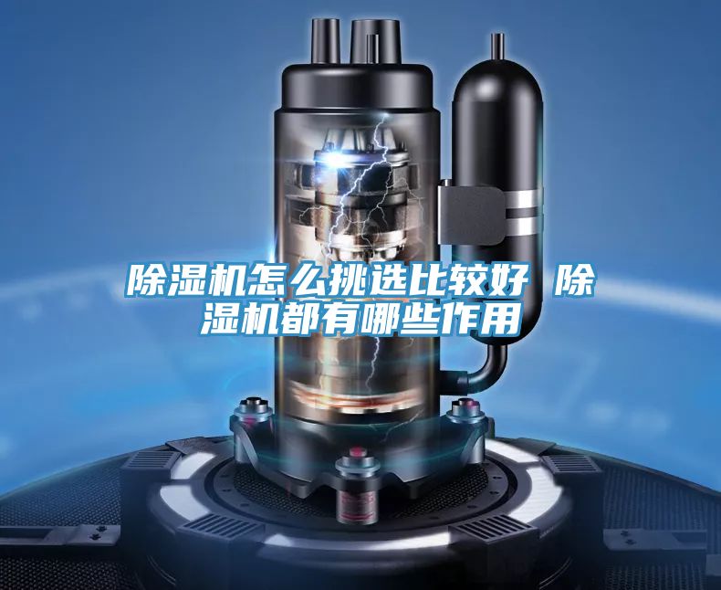 亚洲人成综合第一网站 除湿机怎么挑选比较好 除湿机都有哪些作用