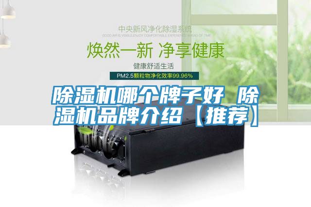 亚洲乱码一区二区三区 除湿机哪个牌子好 除湿机品牌介绍【推荐】