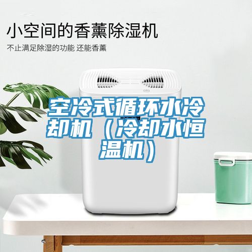 亚洲欧美一级特黄大片 空冷式循环水冷却机（冷却水恒温机）