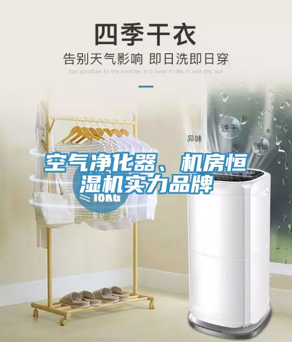 亚洲人成综合第一网站 空气净化器、机房恒湿机实力品牌