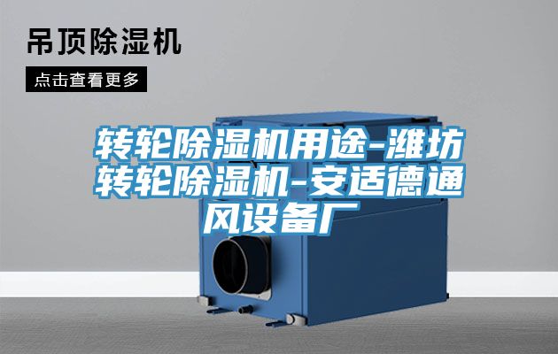 亚洲人成综合第一网站 转轮除湿机用途-潍坊转轮除湿机-安适德通风设备厂