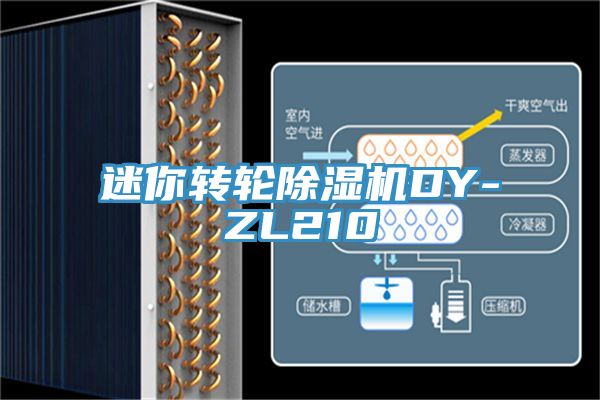 亚洲人成综合第一网站 迷你转轮除湿机DY-ZL210