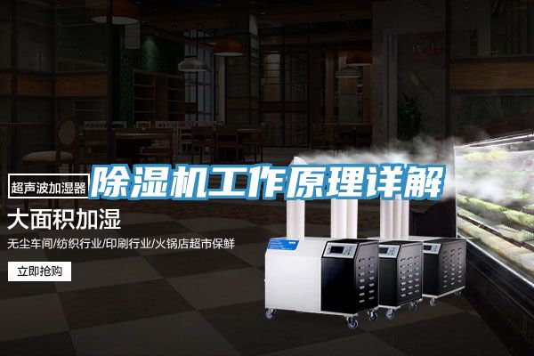 亚洲欧美一级特黄大片 除湿机工作原理详解