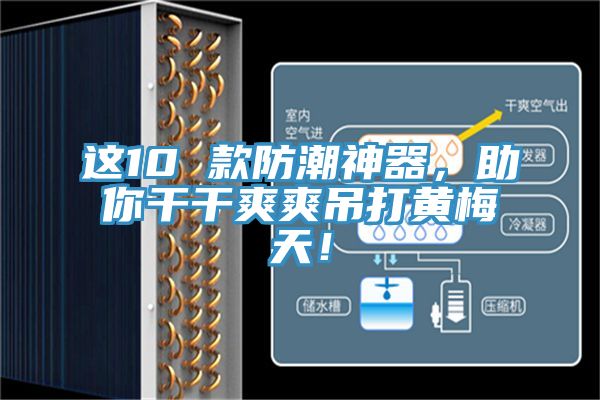亚洲乱码一区二区三区 这10 款防潮神器，助你干干爽爽吊打黄梅天！