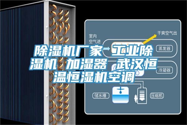 亚洲人成综合第一网站 除湿机厂家 工业除湿机 加湿器 武汉恒温恒湿机空调