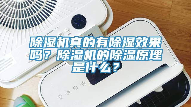 亚洲人成综合第一网站 除湿机真的有除湿效果吗？除湿机的除湿原理是什么？