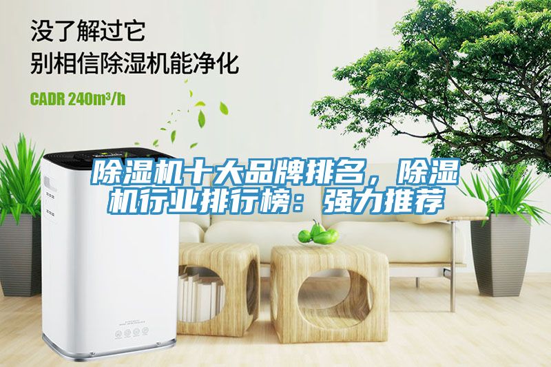 亚洲欧美一级特黄大片 除湿机十大品牌排名，除湿机行业排行榜：强力推荐