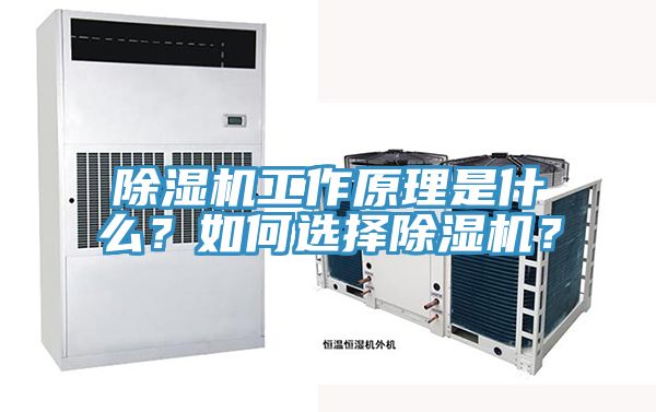 亚洲人成综合第一网站 除湿机工作原理是什么？如何选择除湿机？