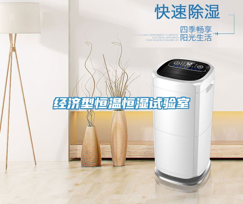 亚洲人成综合第一网站 经济型恒温恒湿试验室