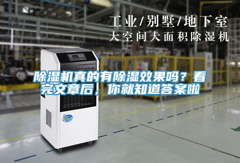 亚洲欧美一级特黄大片 除湿机真的有除湿效果吗？看完文章后，你就知道答案啦