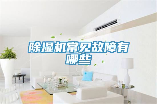 亚洲欧美一级特黄大片 除湿机常见故障有哪些