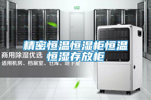 亚洲人成综合第一网站 精密恒温恒湿柜恒温恒湿存放柜