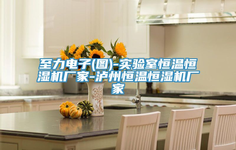 亚洲乱码一区二区三区 至力电子(图)-实验室恒温恒湿机厂家-泸州恒温恒湿机厂家