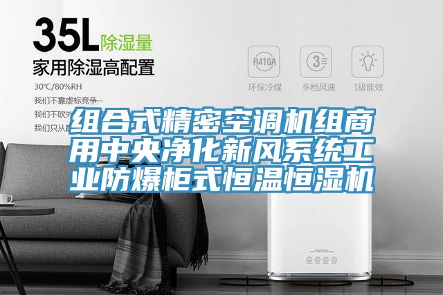 亚洲人成综合第一网站 组合式精密空调机组商用中央净化新风系统工业防爆柜式恒温恒湿机