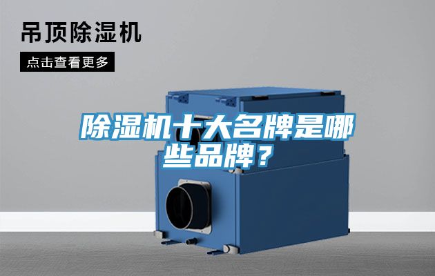 亚洲乱码一区二区三区 除湿机十大名牌是哪些品牌？