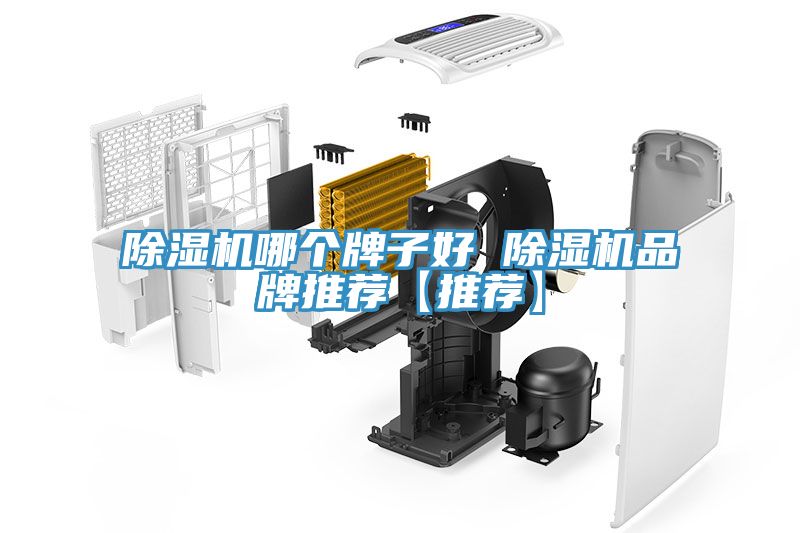 亚洲乱码一区二区三区 除湿机哪个牌子好 除湿机品牌推荐【推荐】