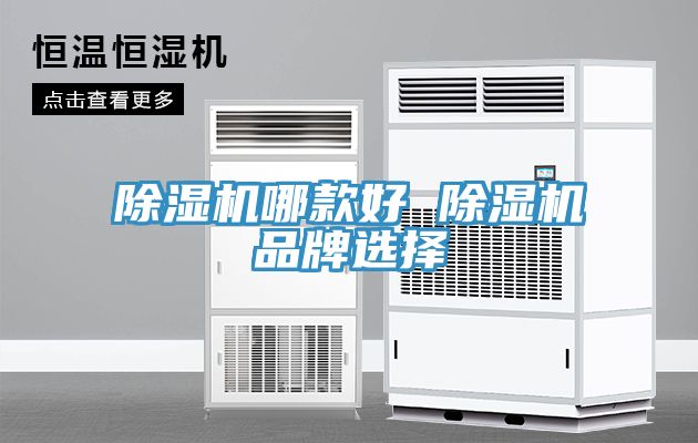 亚洲人成综合第一网站 除湿机哪款好 除湿机品牌选择