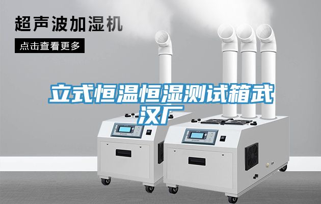 亚洲欧美一级特黄大片 立式恒温恒湿测试箱武汉厂