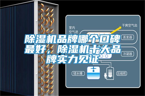 亚洲欧美一级特黄大片 除湿机品牌哪个口碑最好，除湿机十大品牌实力见证