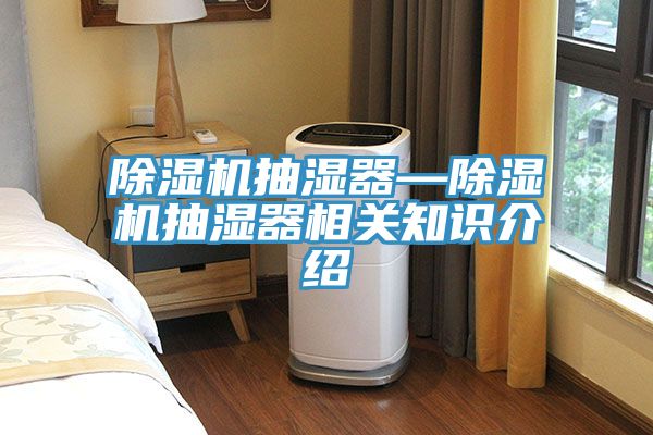 亚洲人成综合第一网站 除湿机抽湿器—除湿机抽湿器相关知识介绍