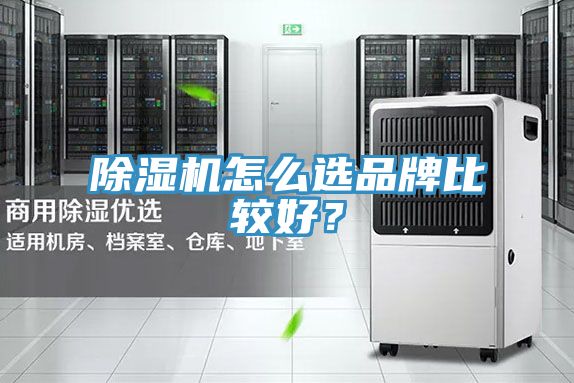 亚洲乱码一区二区三区 除湿机怎么选品牌比较好？