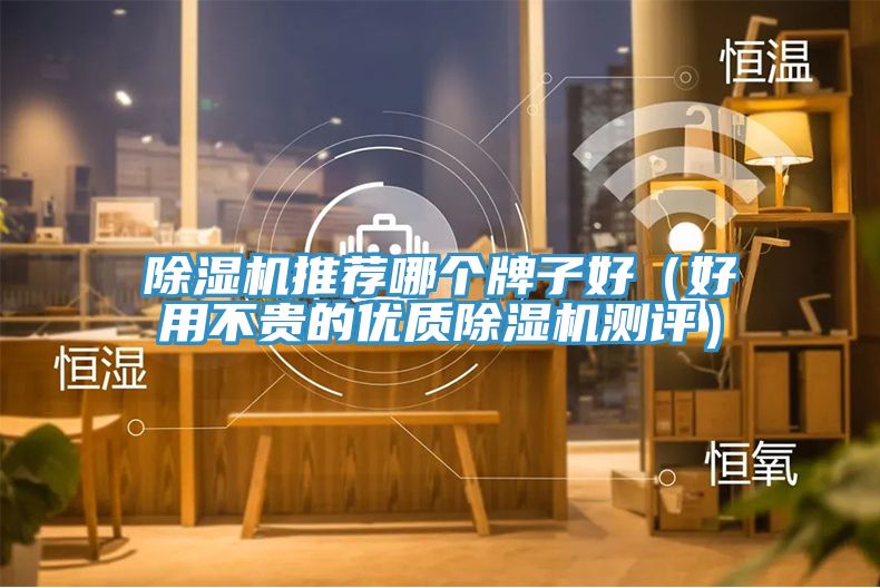 亚洲欧美一级特黄大片 除湿机推荐哪个牌子好（好用不贵的优质除湿机测评）