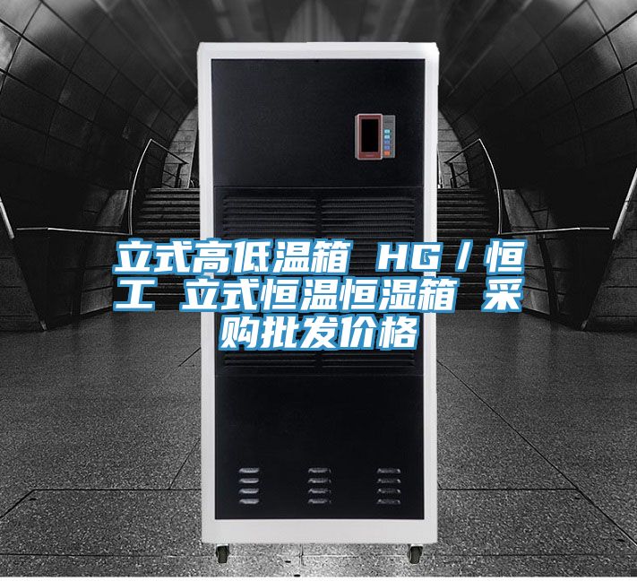 亚洲乱码一区二区三区 立式高低温箱 HG／恒工 立式恒温恒湿箱 采购批发价格