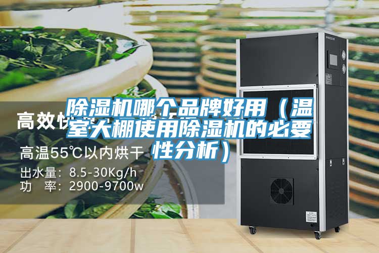 亚洲欧美一级特黄大片 除湿机哪个品牌好用（温室大棚使用除湿机的必要性分析）