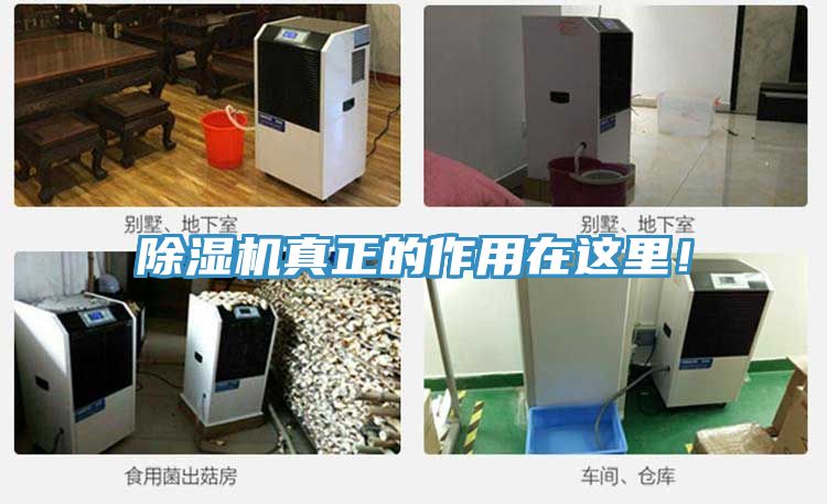 亚洲乱码一区二区三区 除湿机真正的作用在这里！