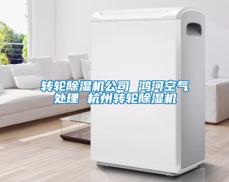 亚洲乱码一区二区三区 转轮除湿机公司 鸿河空气处理 杭州转轮除湿机