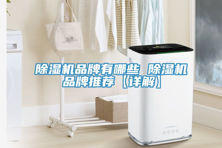 亚洲人成综合第一网站 除湿机品牌有哪些 除湿机品牌推荐【详解】