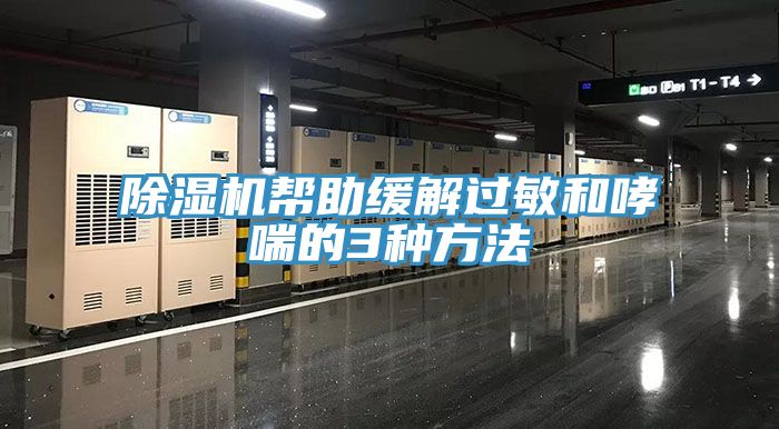 亚洲人成综合第一网站 除湿机帮助缓解过敏和哮喘的3种方法