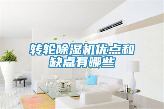 亚洲欧美一级特黄大片 转轮除湿机优点和缺点有哪些