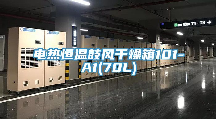 亚洲乱码一区二区三区 电热恒温鼓风干燥箱101-A1(70L)