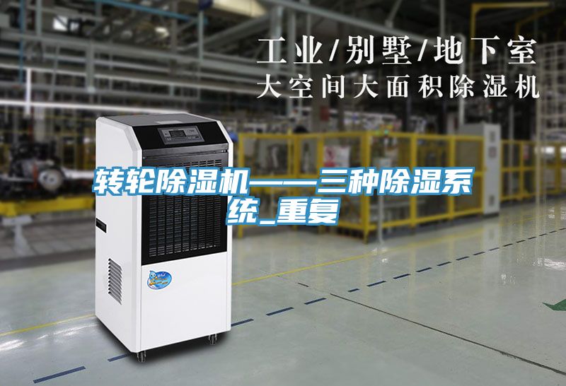 亚洲人成综合第一网站 转轮除湿机——三种除湿系统_重复
