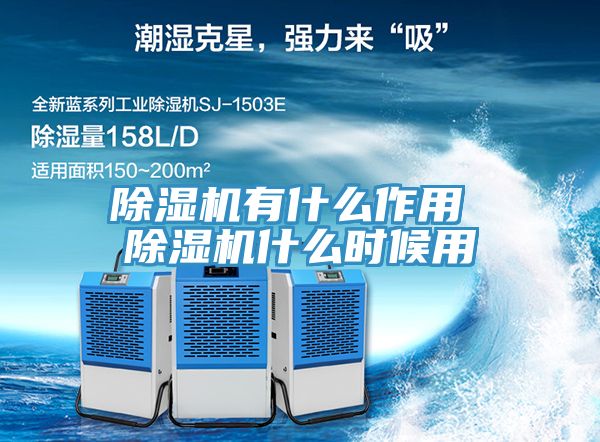 亚洲乱码一区二区三区 除湿机有什么作用 除湿机什么时候用