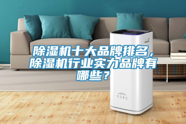 亚洲人成综合第一网站 除湿机十大品牌排名，除湿机行业实力品牌有哪些？