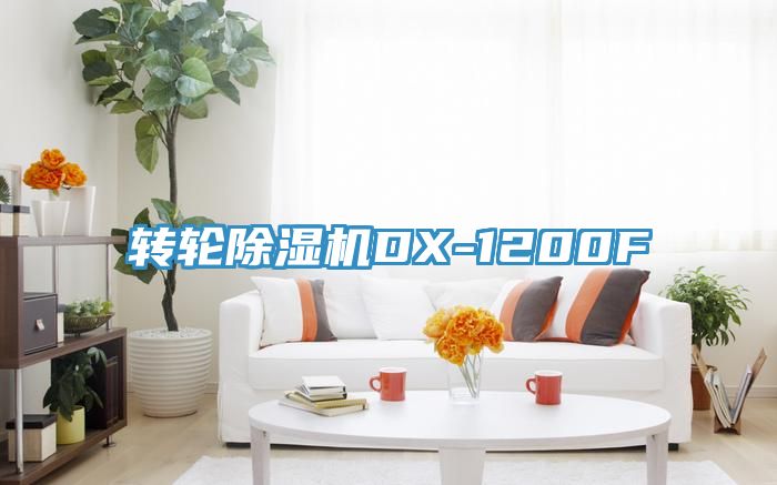 亚洲人成综合第一网站 转轮除湿机DX-1200F